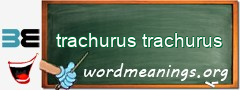 WordMeaning blackboard for trachurus trachurus
